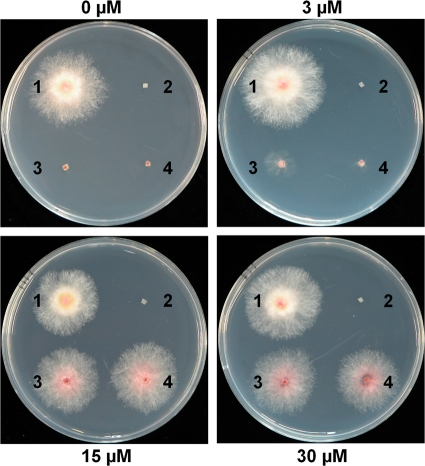 FIG. 6.