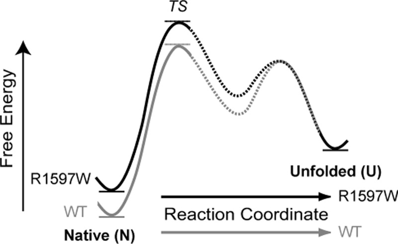 FIGURE 9.