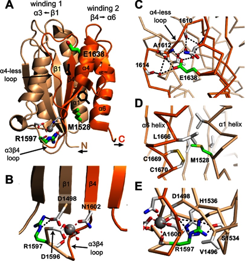 FIGURE 1.