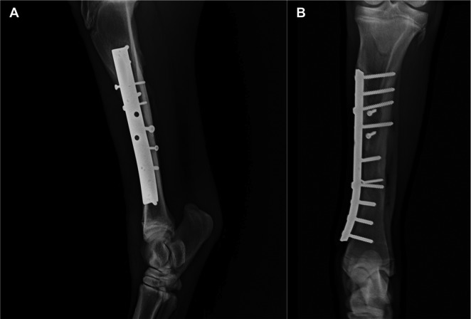 Fig. 7.