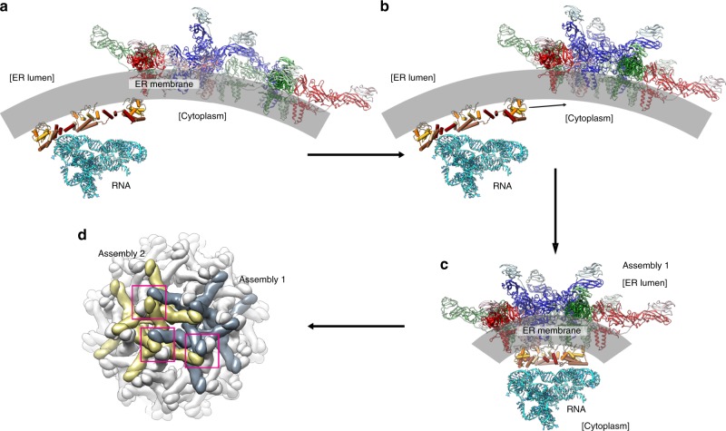 Fig. 6