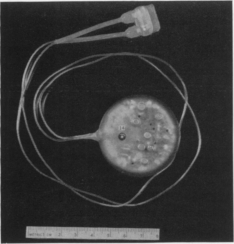 Fig. 4B.