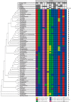 <sc>Fig</sc>. 5.