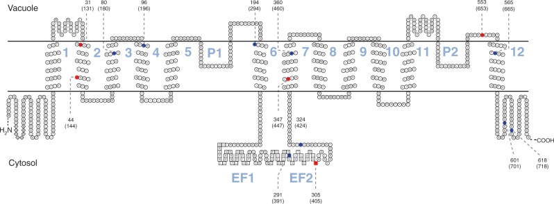 Fig. 4.