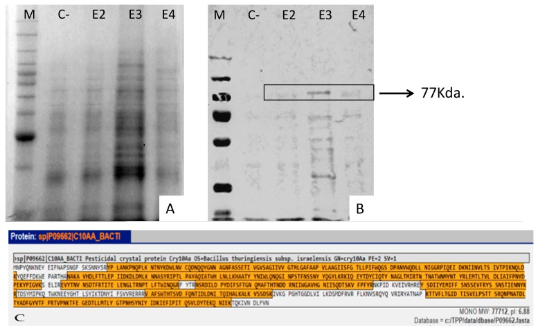 Figure 6