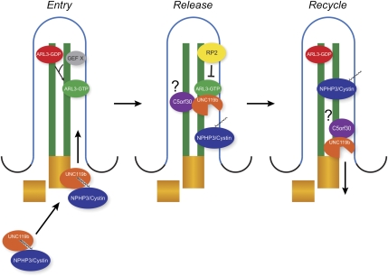 Figure 7.