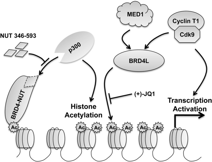 FIGURE 11.