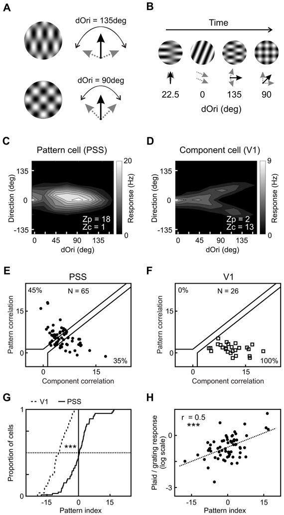 Figure 5: