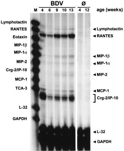 FIG. 6