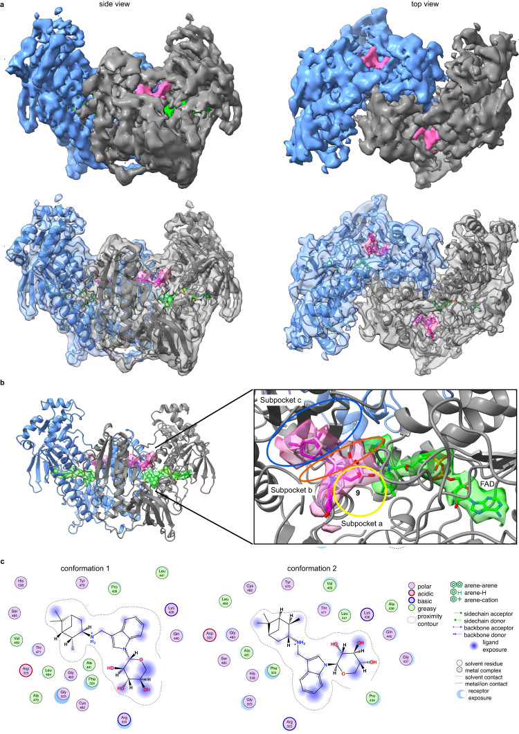 Fig. 4