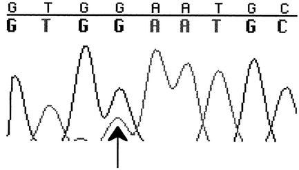 FIG. 6.