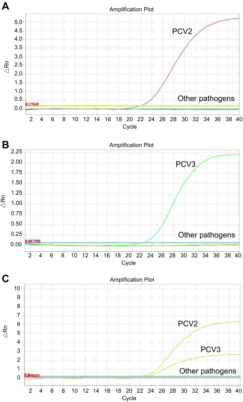 Fig. 2