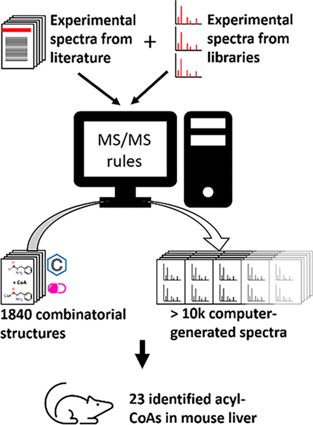 graphic file with name nihms-2027839-f0006.jpg