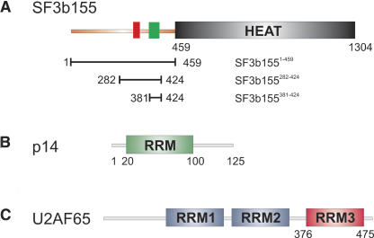 FIGURE 1.