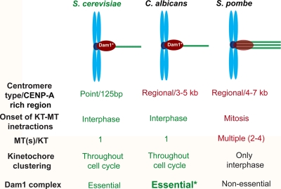 Fig. 11.