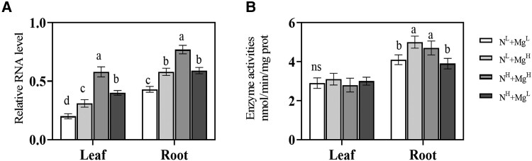 Figure 5.