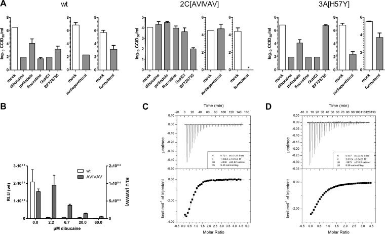 FIG 6