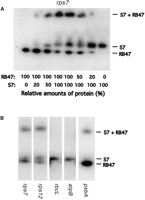 Figure 6.