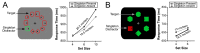 Search displays and search slopes for (A) Wang and Theeuwes (2020) and (B) Gaspelin et al (2015). Both searches produced steep slopes indicative of a difficult search. Yet, these studies obtained differing results regarding attentional capture by a salient distractor