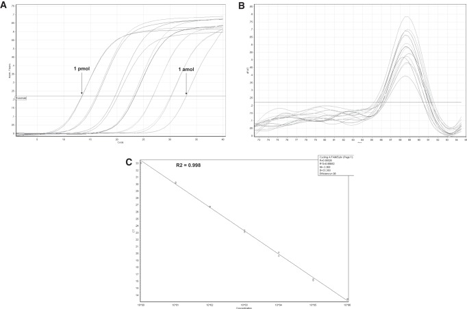 FIGURE 3.