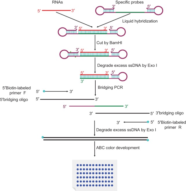 FIGURE 1.