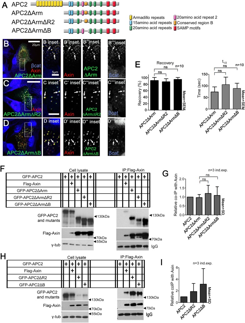 Figure 6—figure supplement 1.