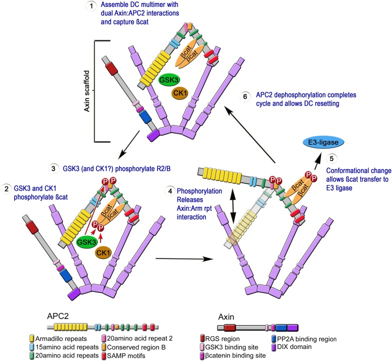 Figure 10.