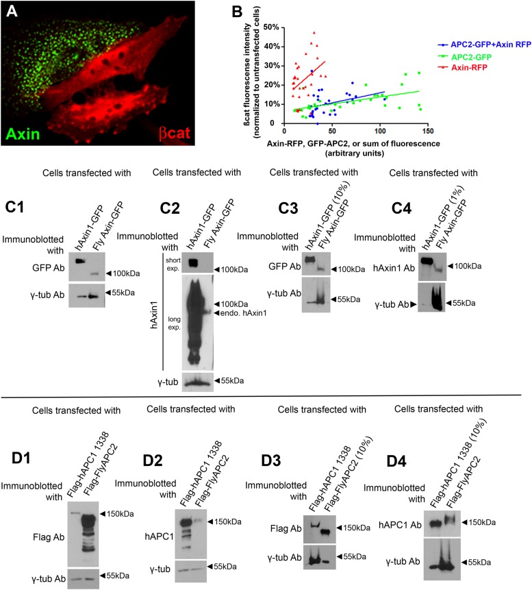 Figure 1—figure supplement 1.