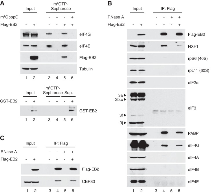 FIG 1