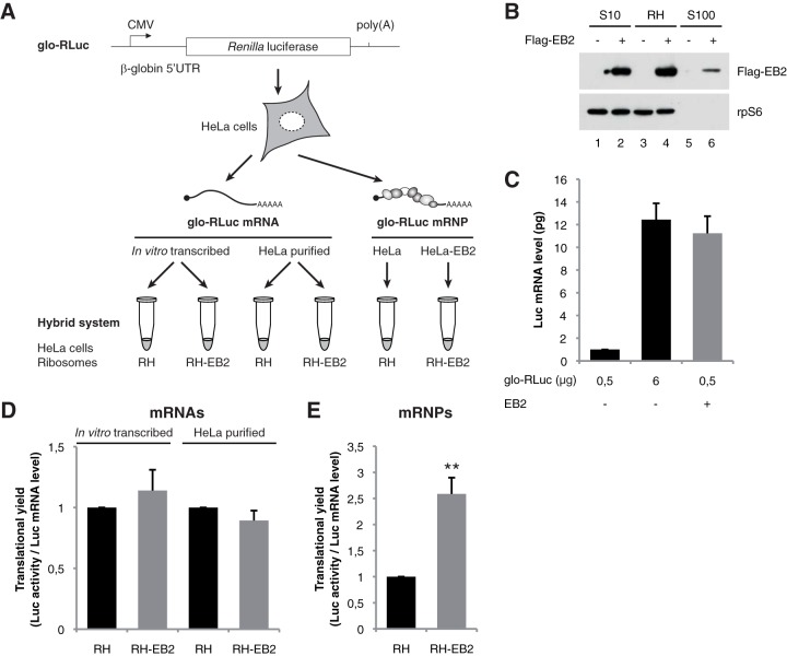 FIG 4