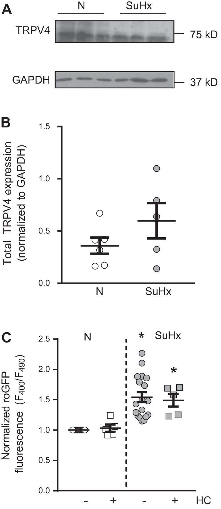 Fig. 11.