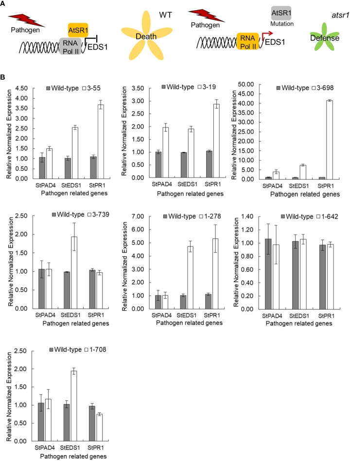 Figure 3