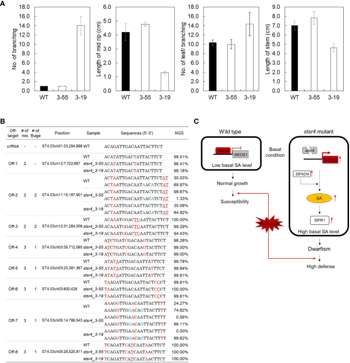 Figure 6