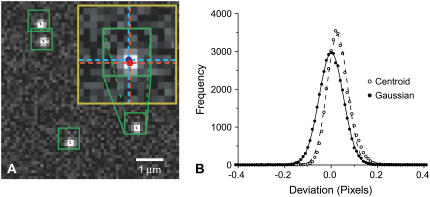 FIGURE 4