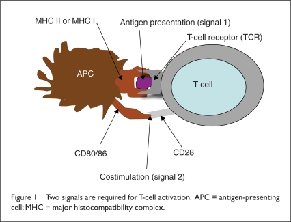 Sipuleucel-T (Provenge) Injection: The First Immunotherapy Agent ...