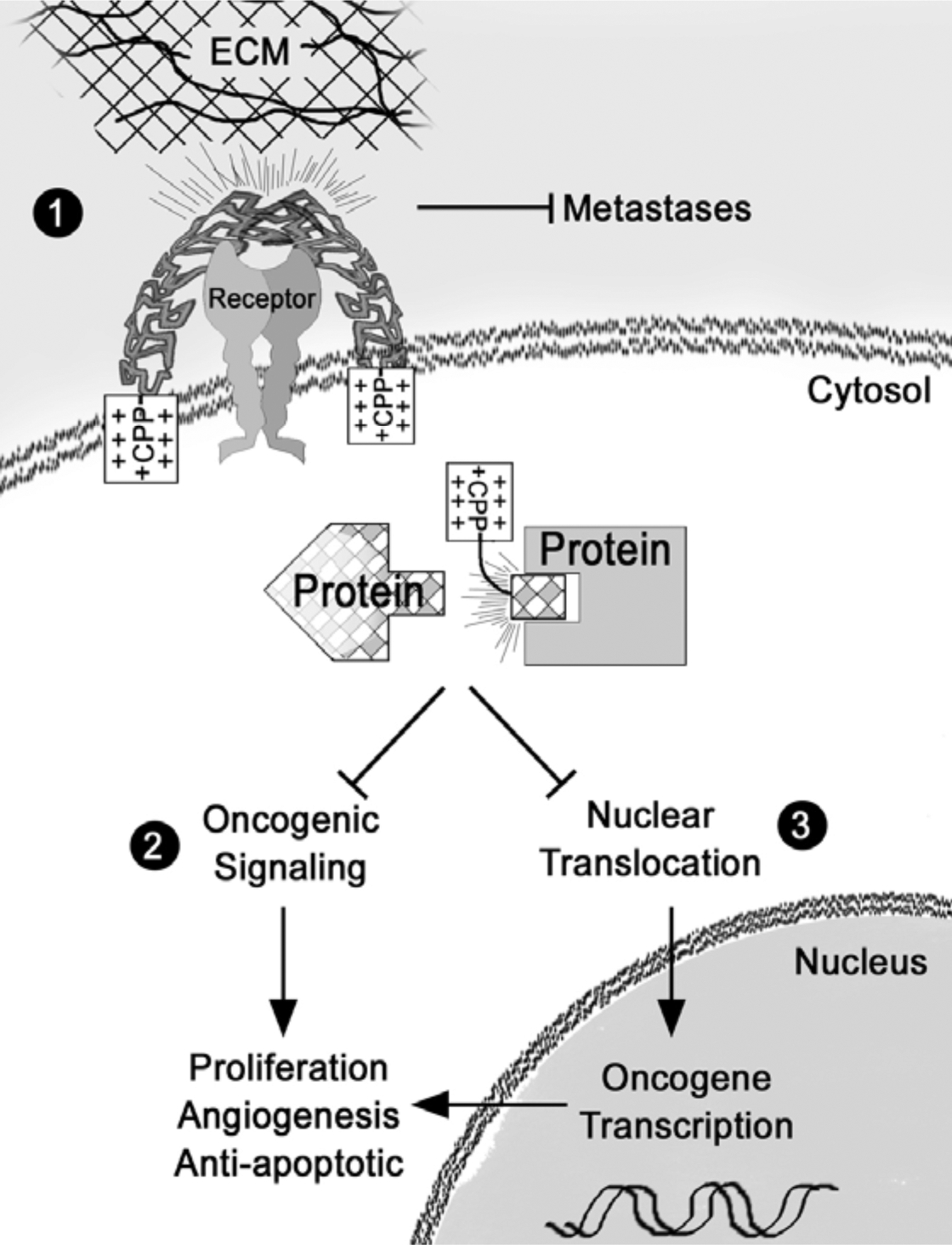 Fig. (2).