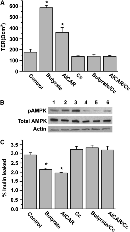 FIGURE 2 