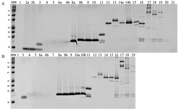 Figure 6.