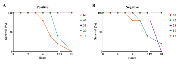 Figure 9.