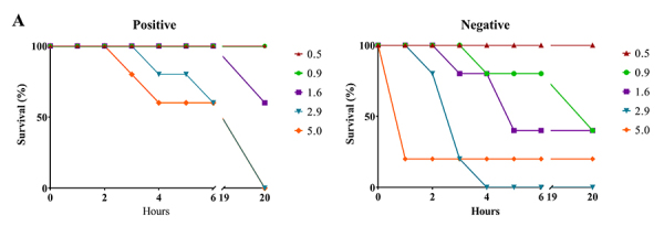 Figure 8.