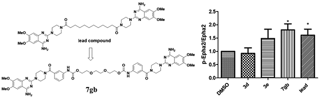 graphic file with name nihms-1618913-f0001.jpg