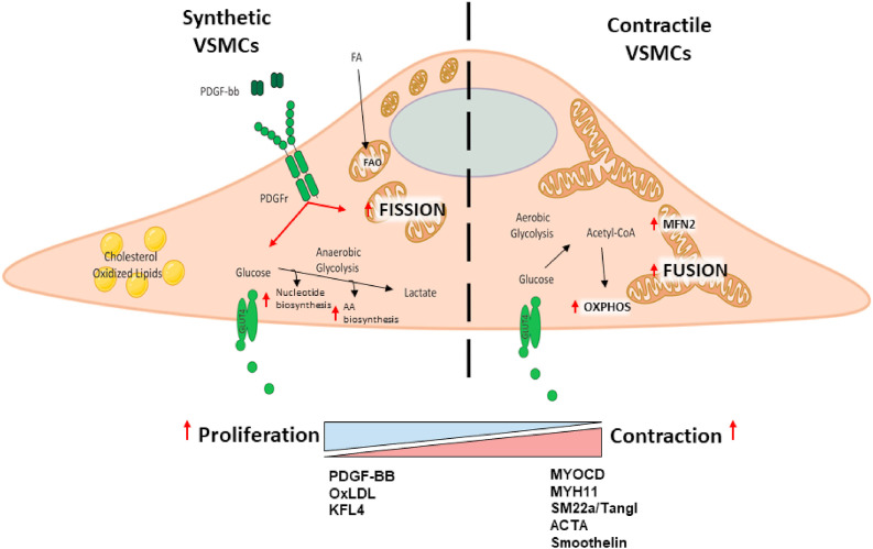 Fig. 2