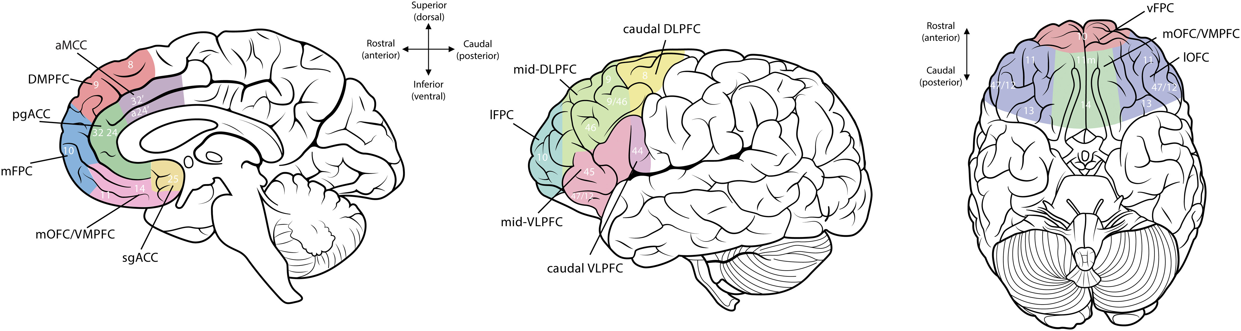 Figure 2.