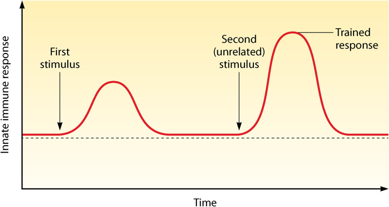 FIG 1