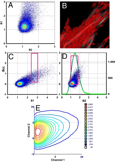 Fig. 2.