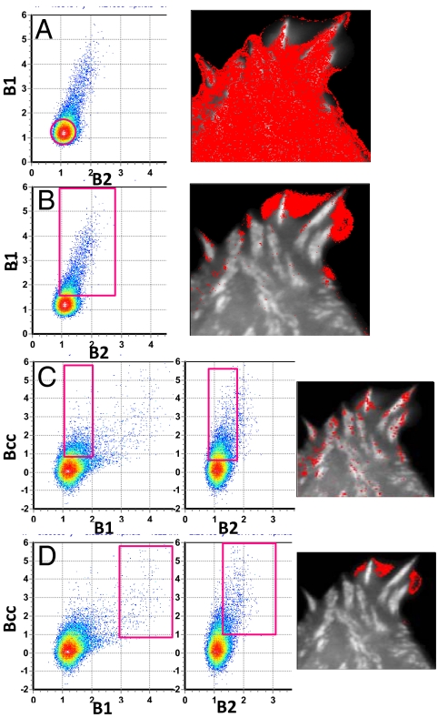 Fig. 4.