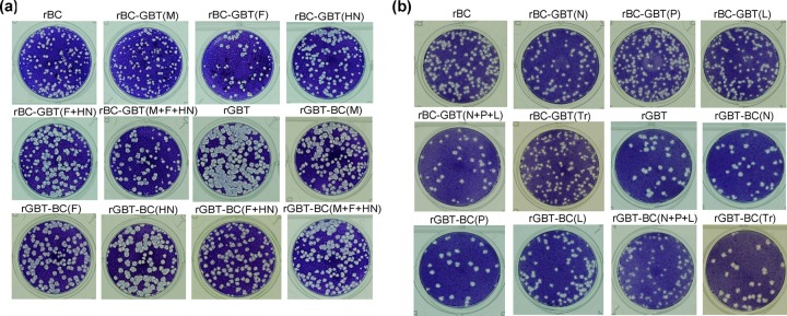 FIG 3