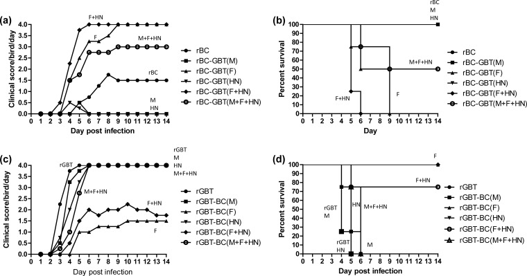 FIG 6