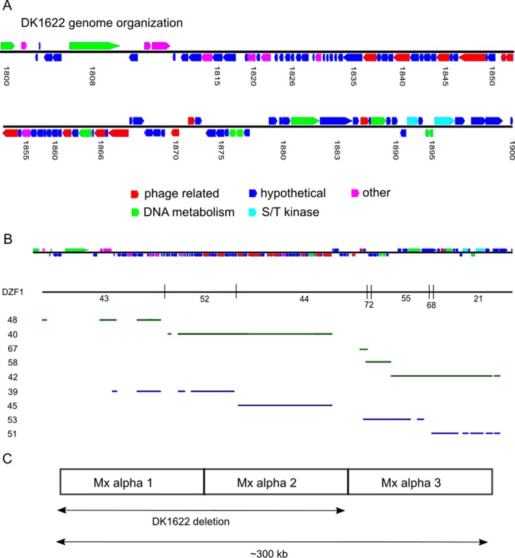 FIG 6