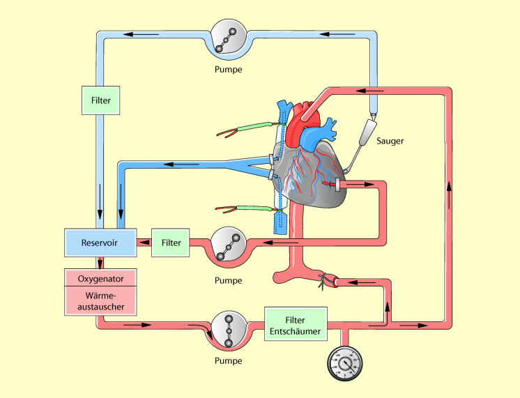graphic file with name 6376_9_De_21_Fig1_HTML.jpg
